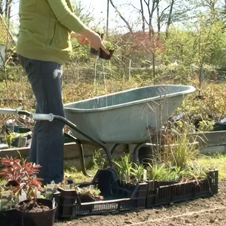 Stauder gør planterne klar