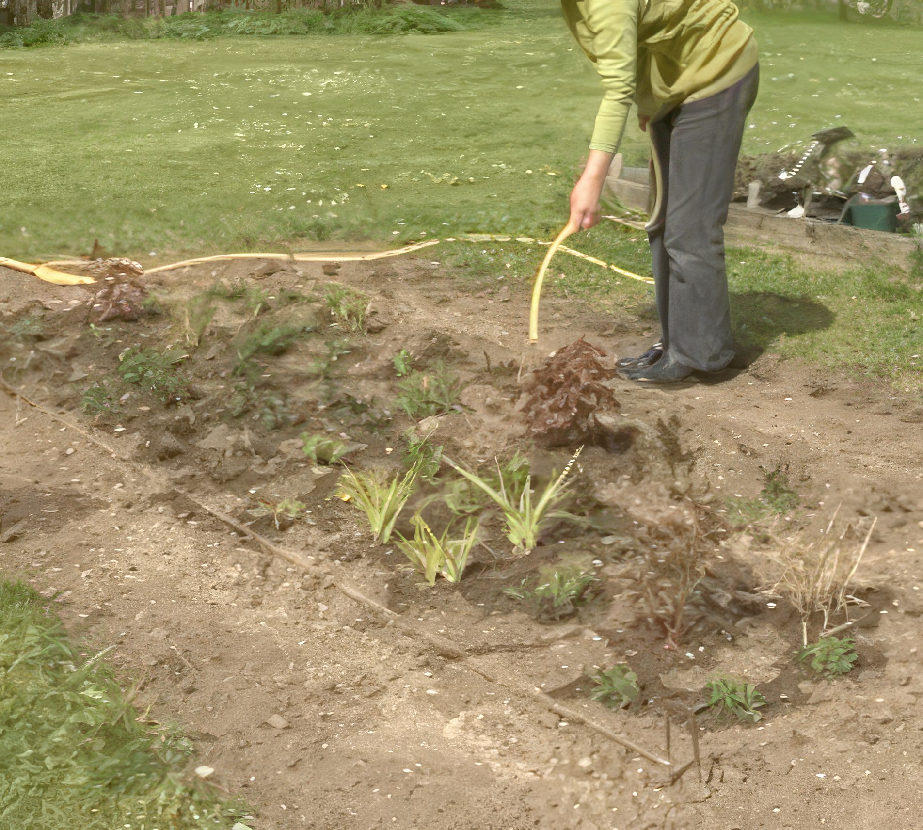 stauder Gødning og vanding