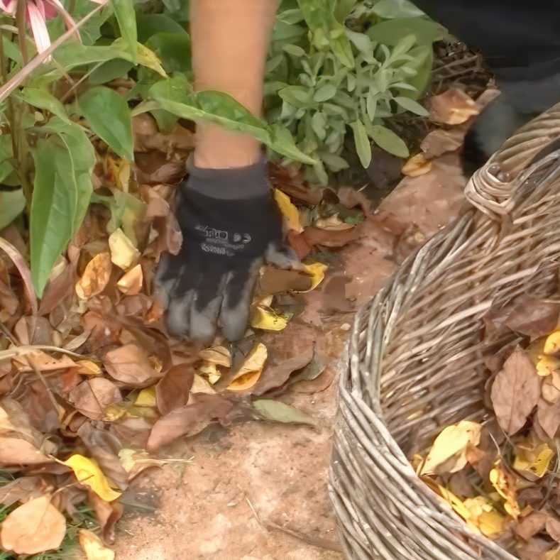 Staudebed dæk jorden til