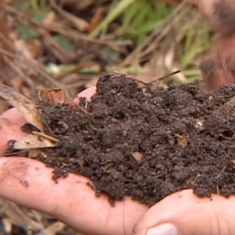 Staudebed dæk jorden til