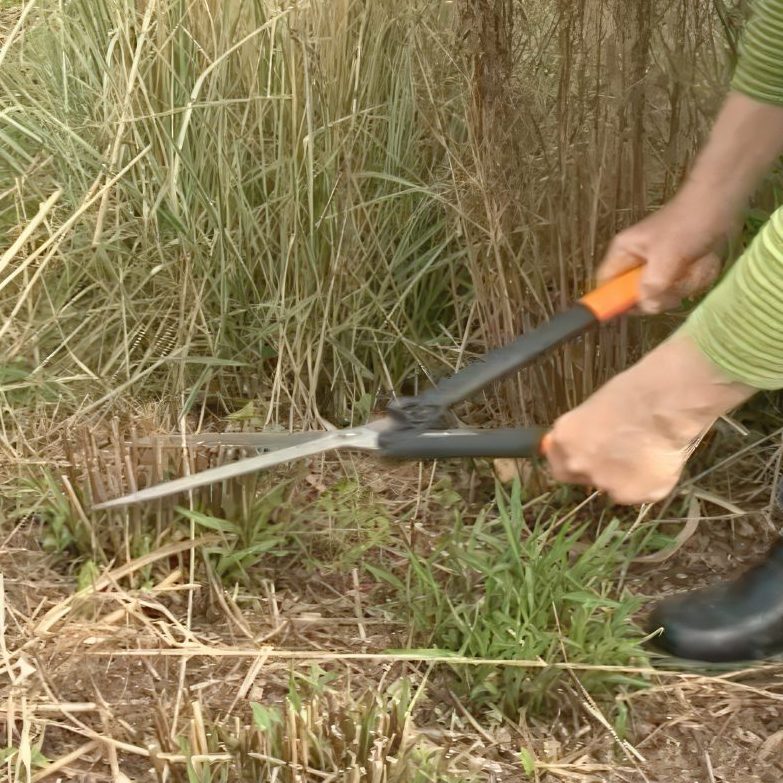 Staudebed klip stauderne ned