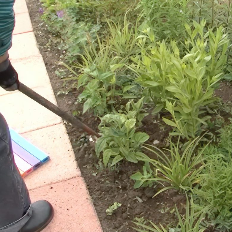 staudebed Lug ukrudtet væk