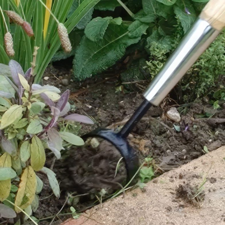 staudebed Lug ukrudtet væk