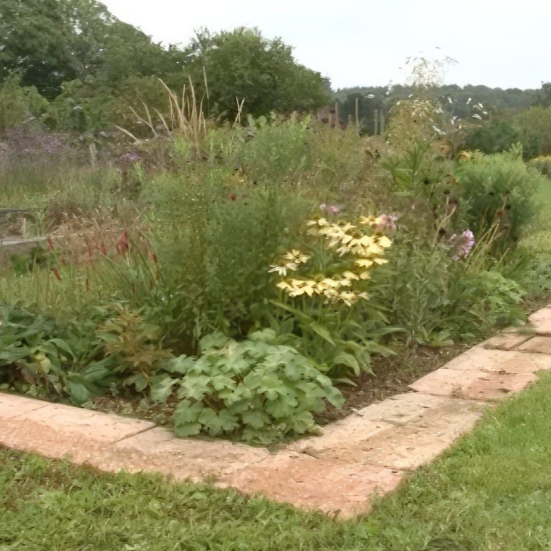 Vanding af staudebed