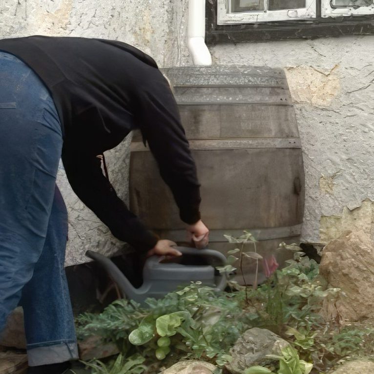 Vanding af staudebed