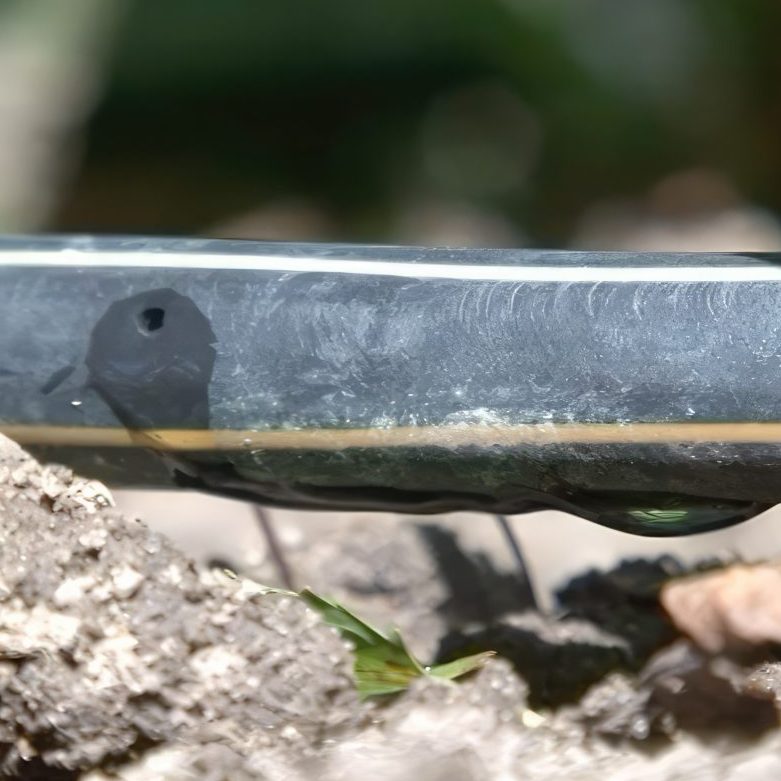 Vanding af staudebed