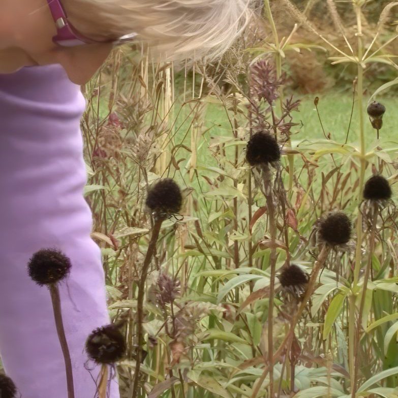 blomsterfrø til haven