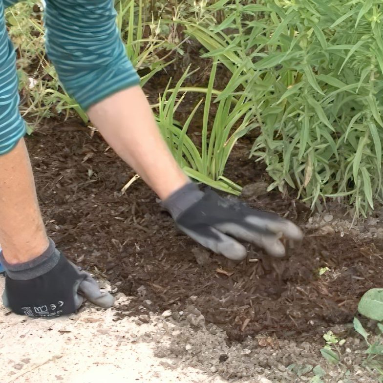 jordforbedring staudebed