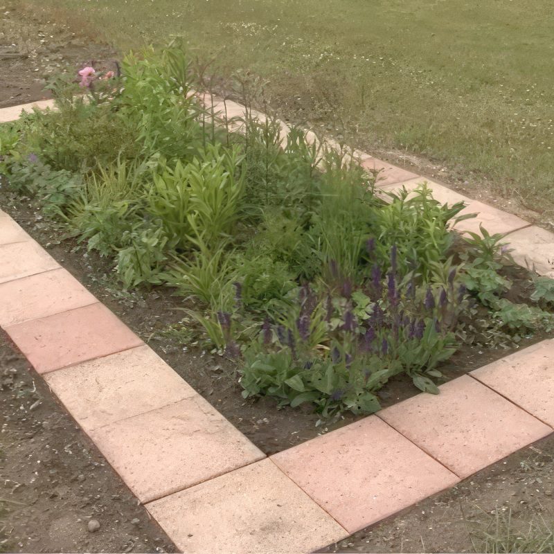 må man klippe stauder ned i marts