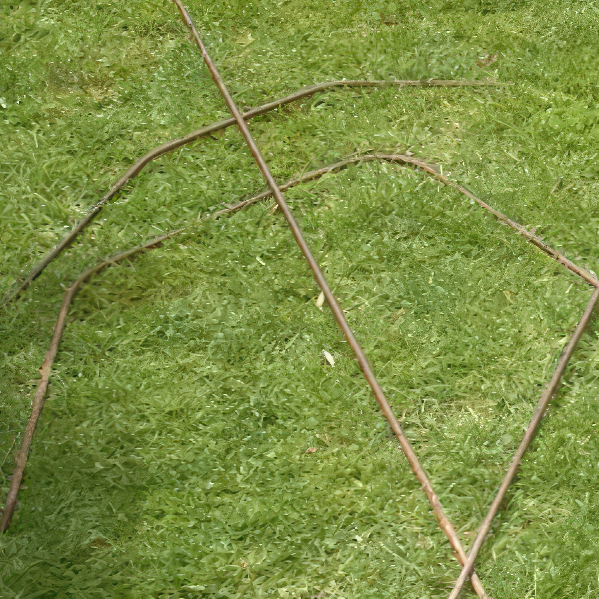 stötta till perenner