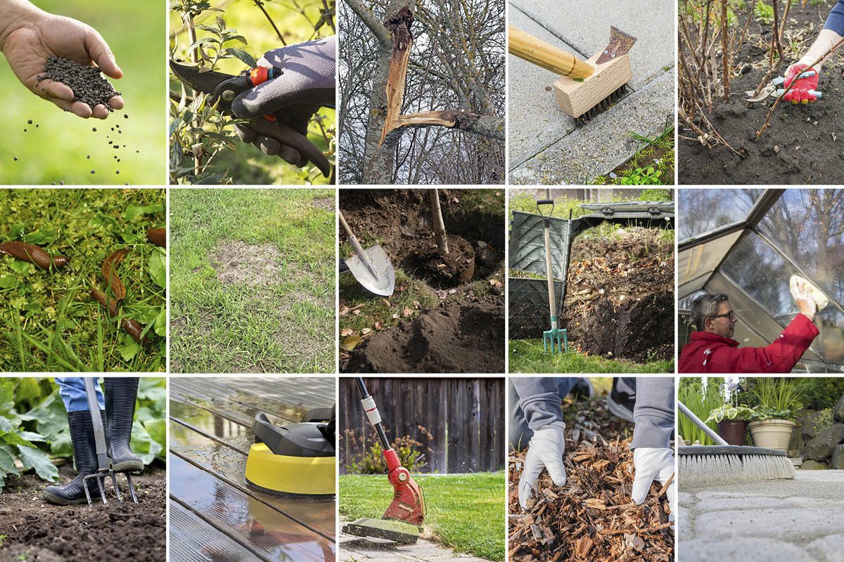 Gör trädgården redo för våren