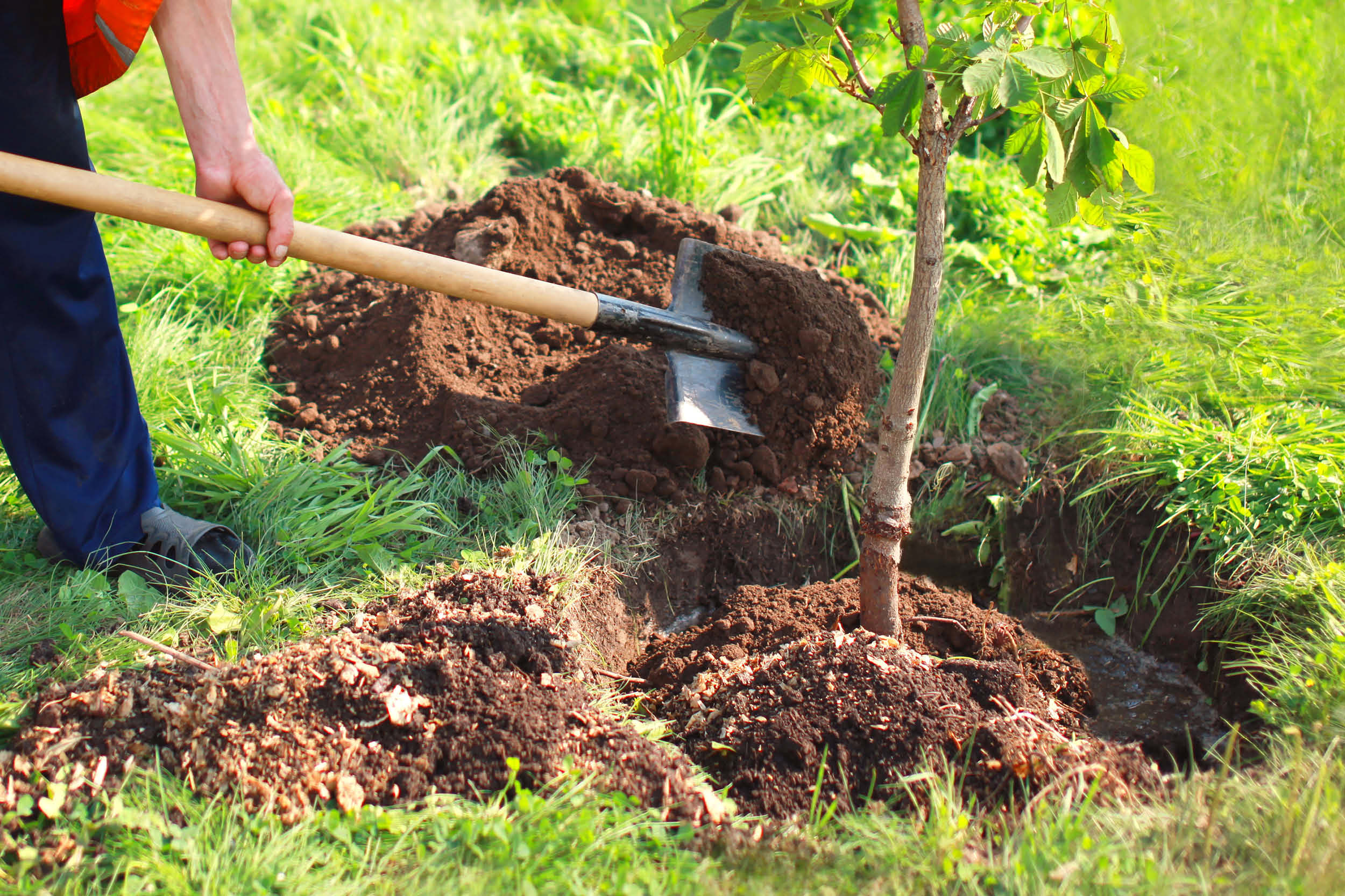 Anna puulle hyvä alku