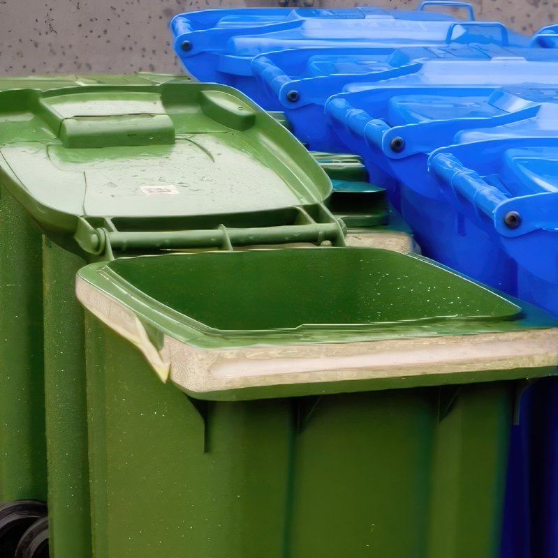 sykdom i roser meldugg