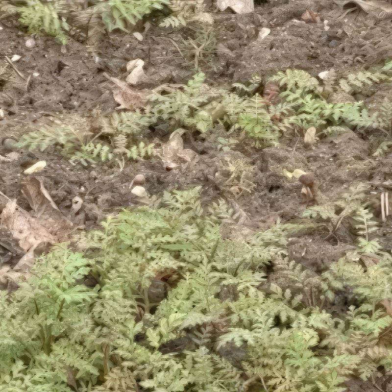 gödsling köksträdgård