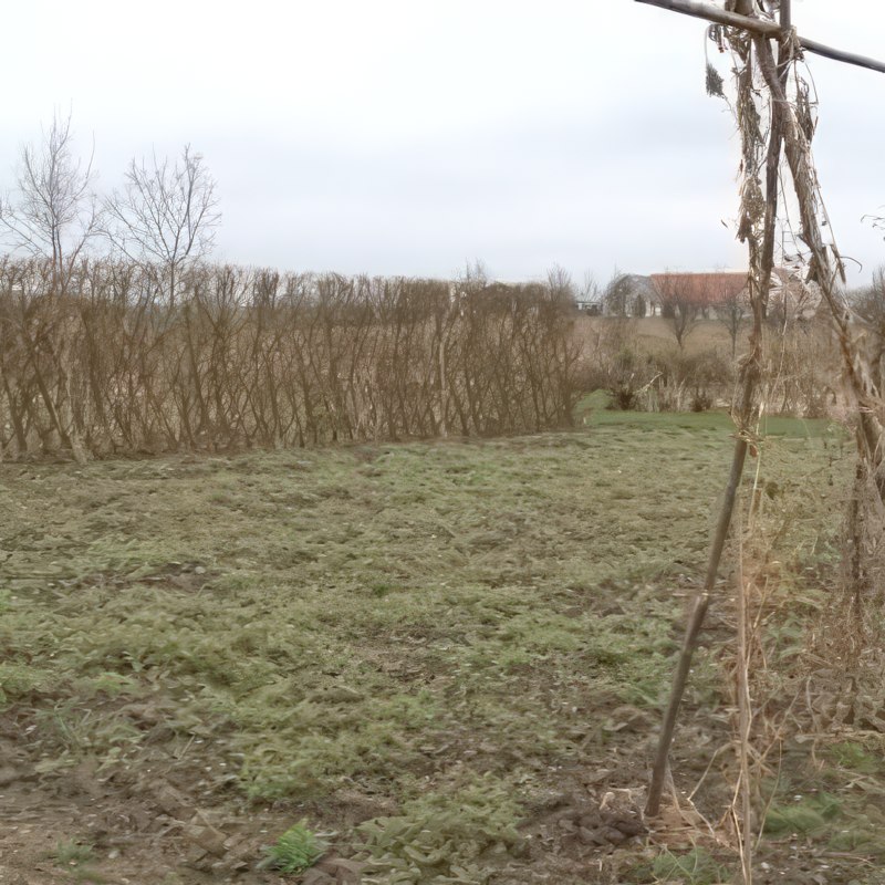 köksträdgård design