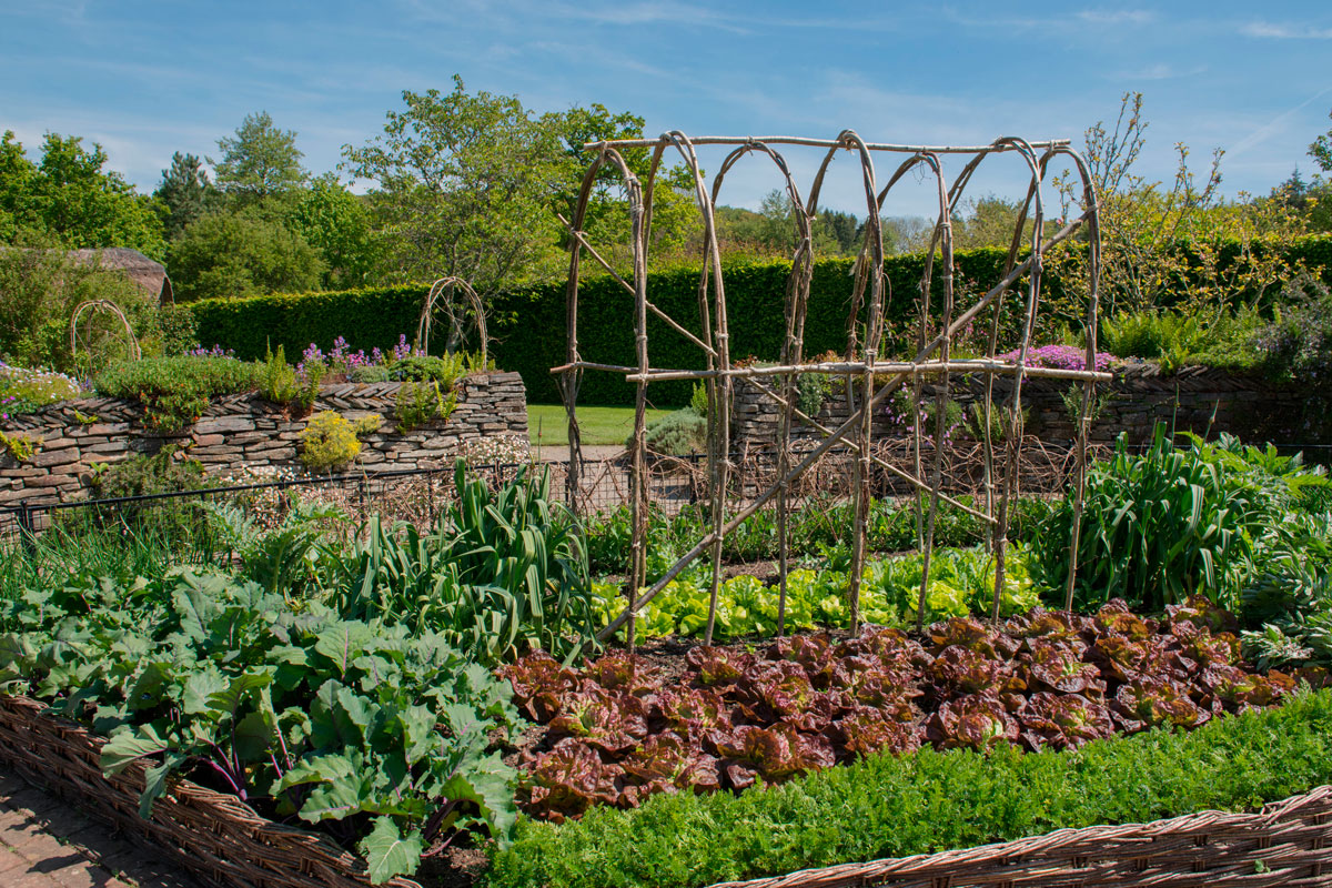 köksträdgård inspiration