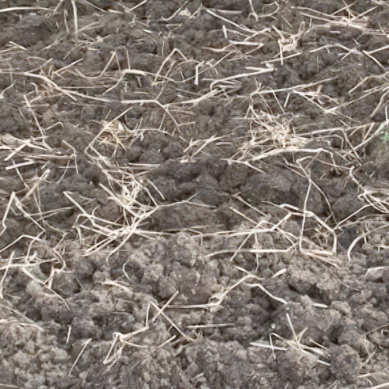 jord till köksträdgård