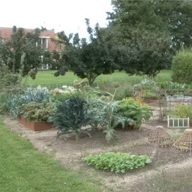 köksträdgård skiss