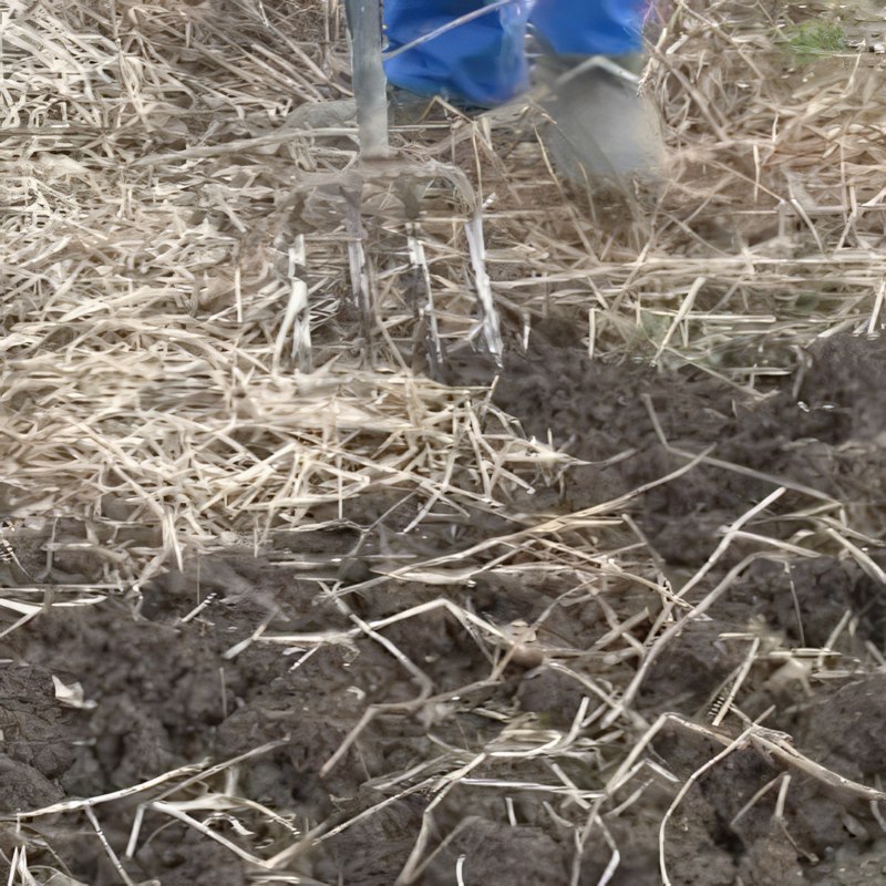 jord till köksträdgård