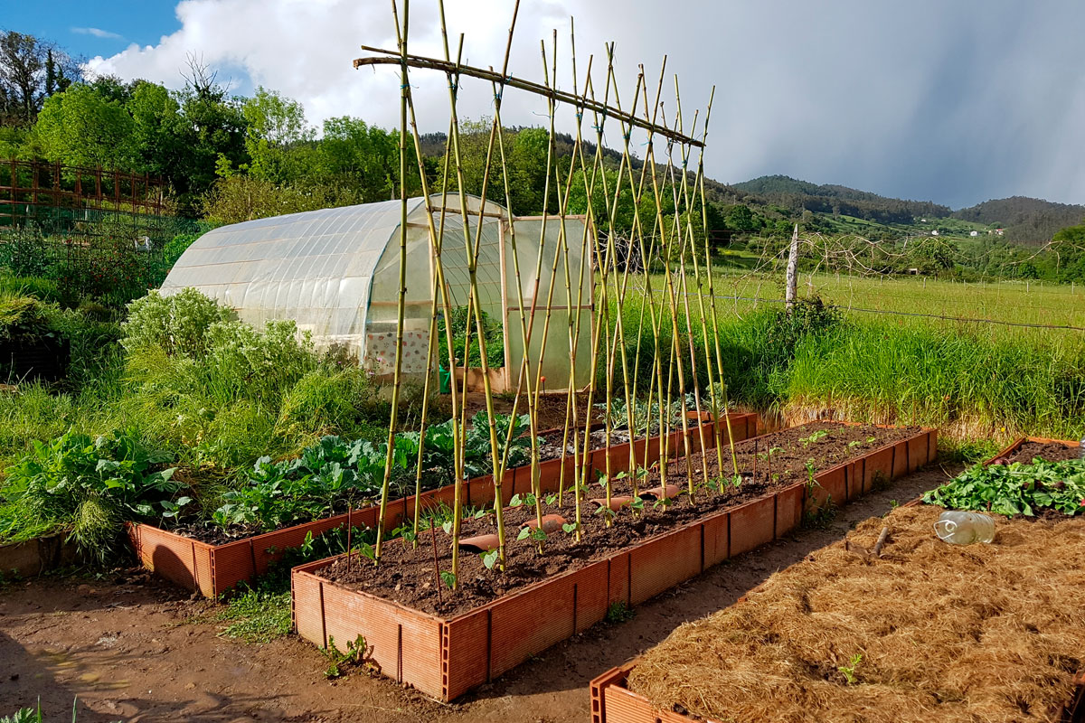 köksträdgård inspiration