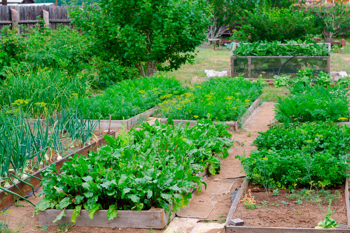 köksträdgård inspiration