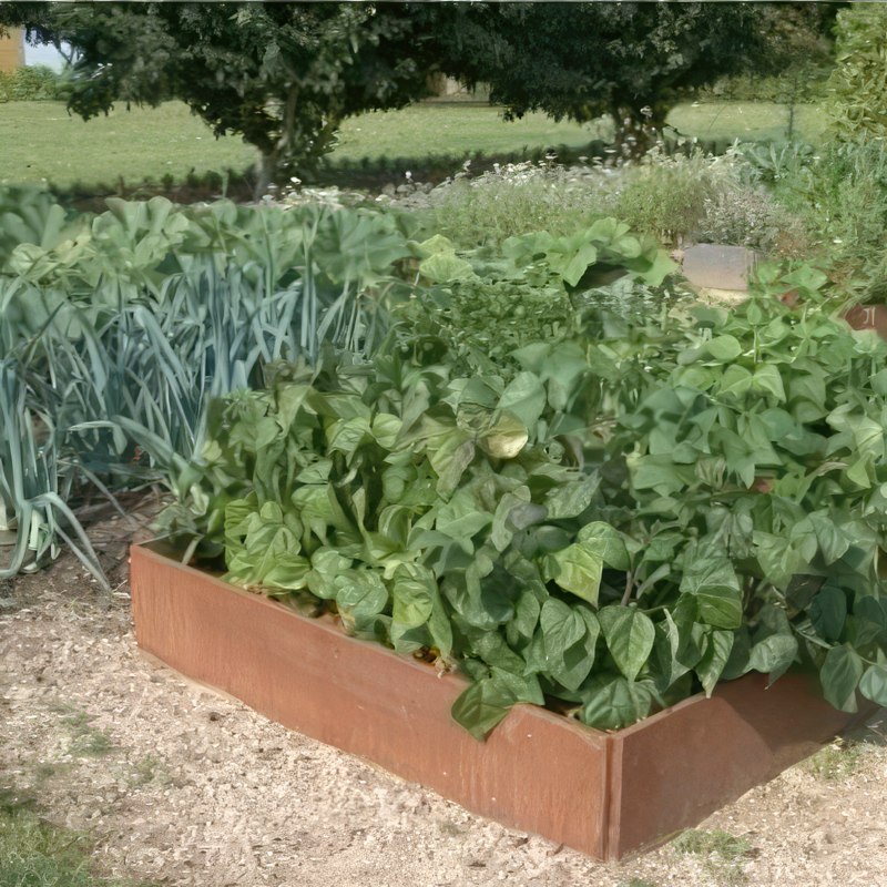 højbed i køkkenhave