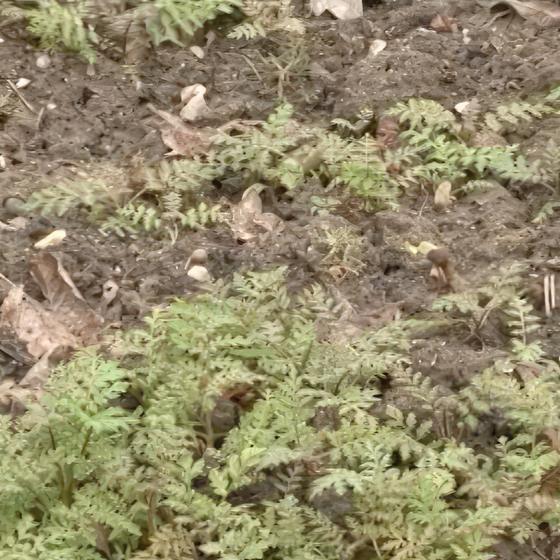 køkkenhave klargøring af jord