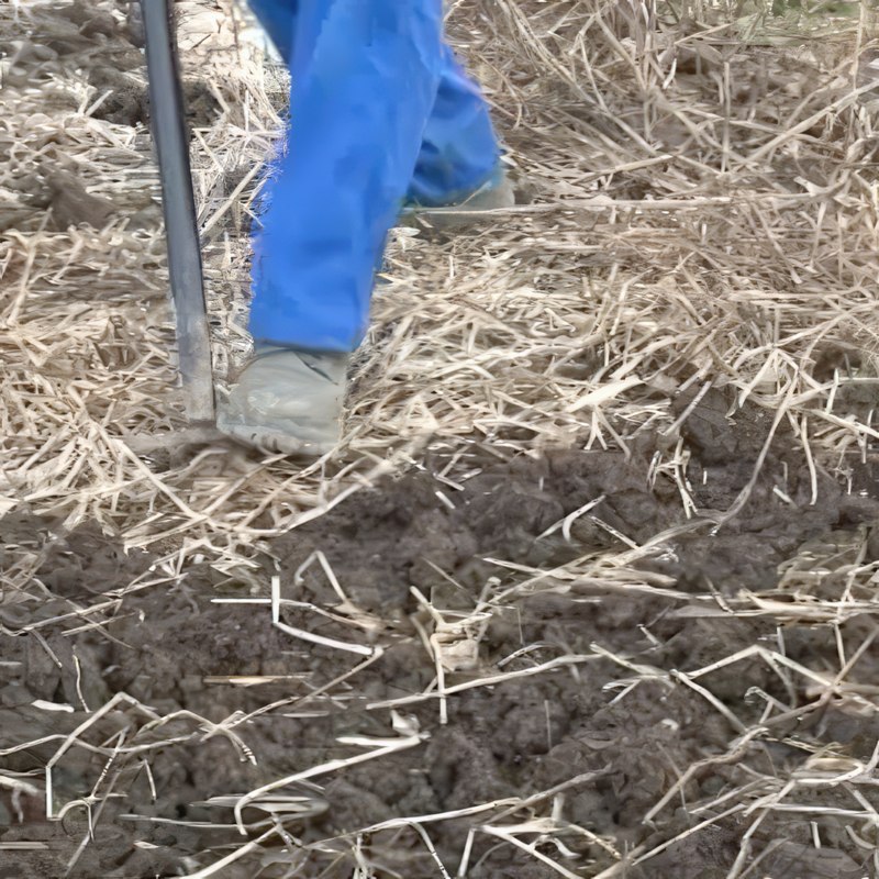 køkkenhave klargøring af jord