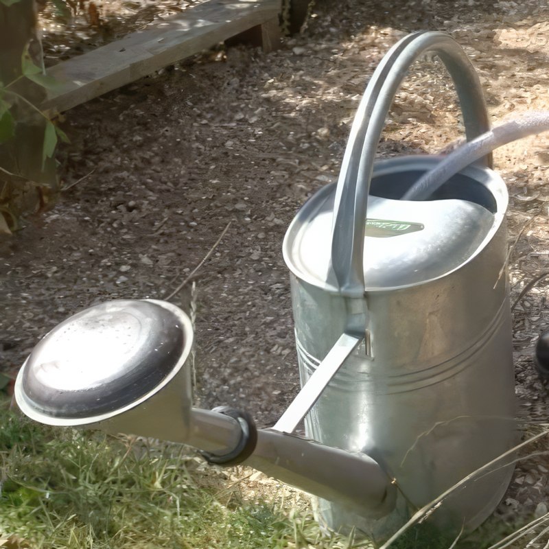 vanning av kjøkkenhage