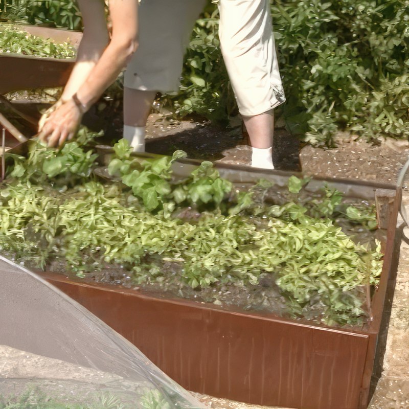 dekk jorden i kjøkkenhagen