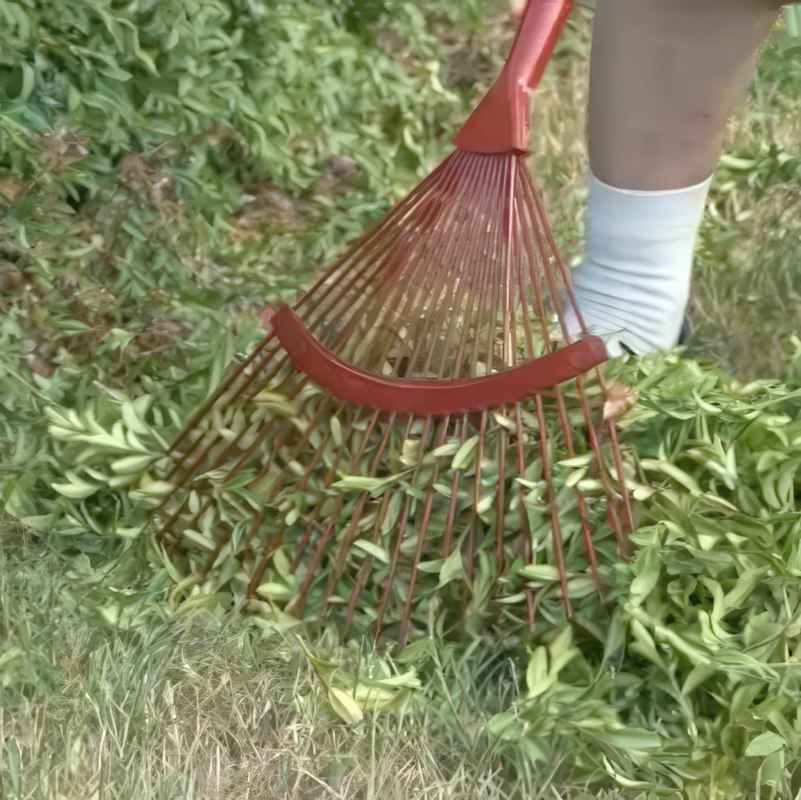 dekk jorden i kjøkkenhagen