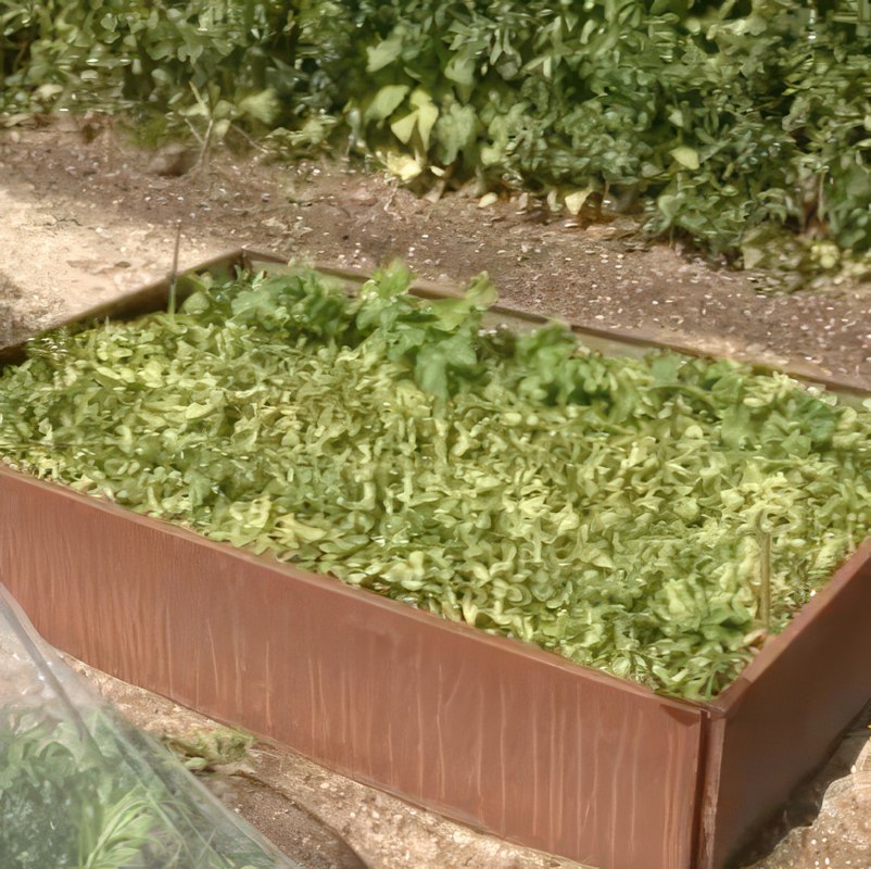 dekk jorden i kjøkkenhagen