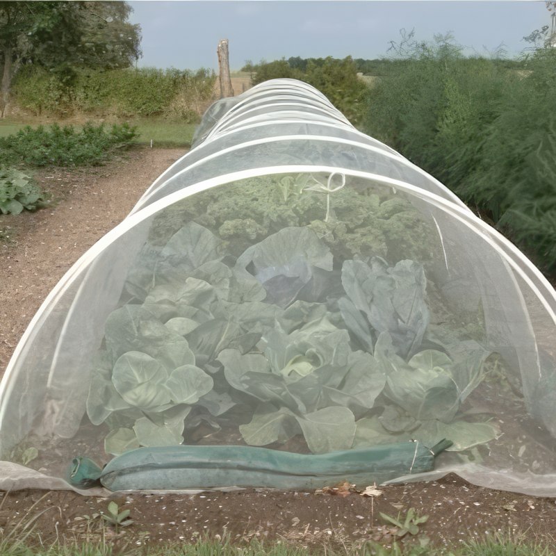 insektnet køkkenhave