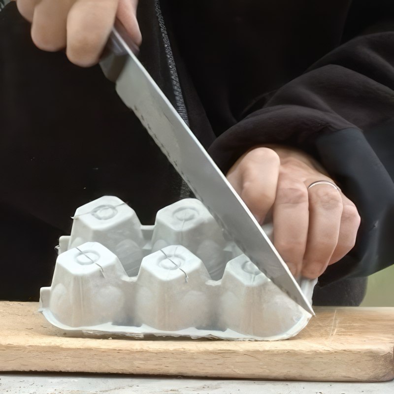 förgroning av sallad