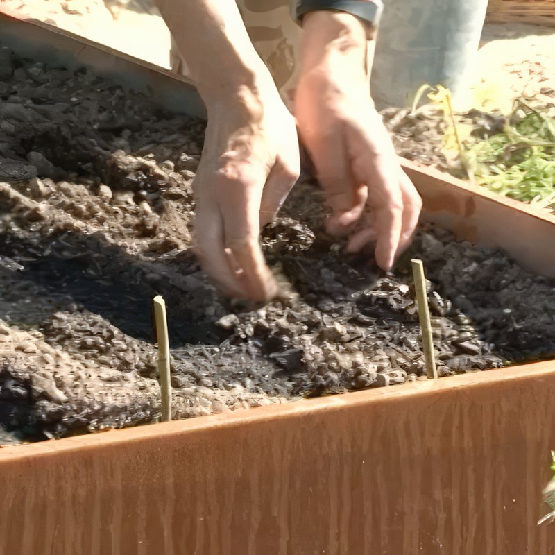 porkkanoiden viljely istutuslaatikossa