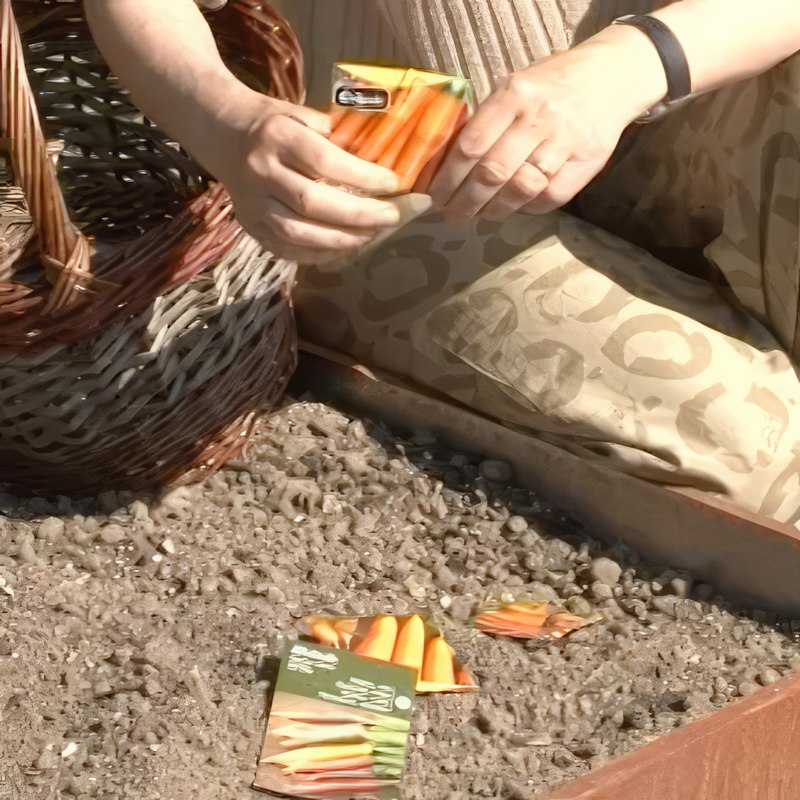 porkkanoiden viljely istutuslaatikossa