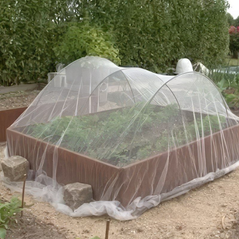 porkkanoiden viljely porkkanakärpänen