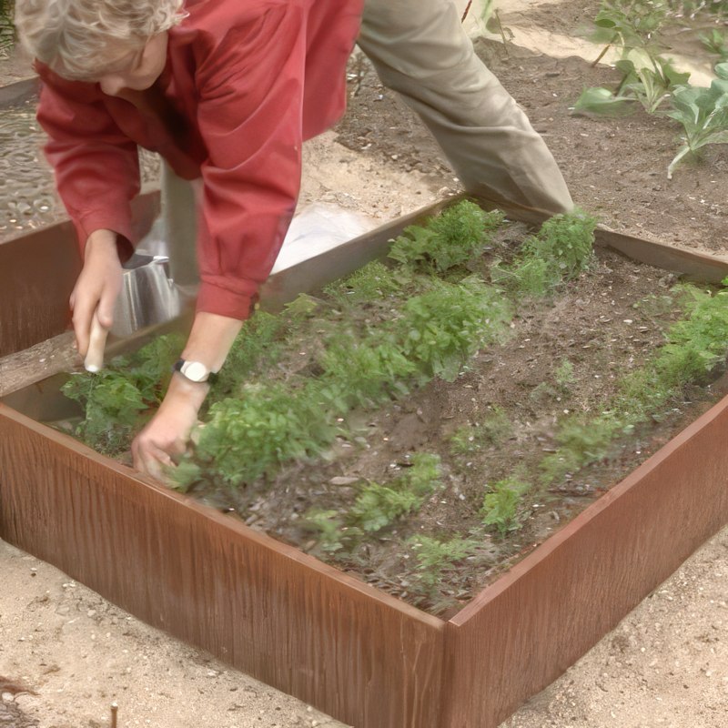 porkkanoiden viljely harvennus