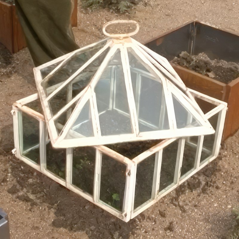 yrttien istutus persilja