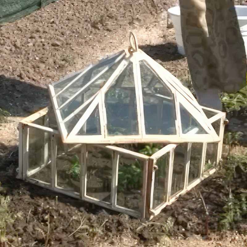 yrttien kasvatus basilika