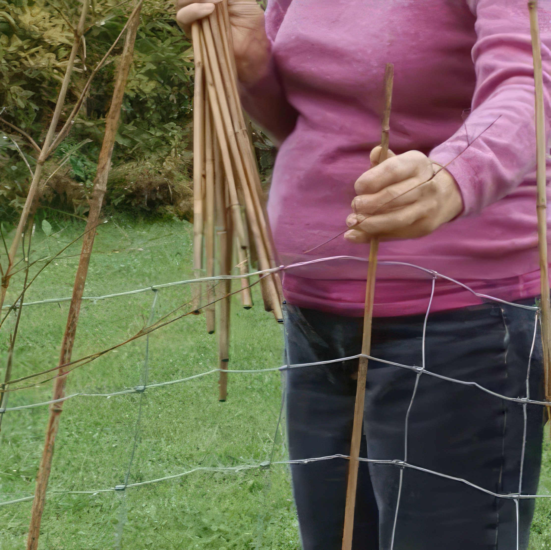 Perennrabatt stängsel