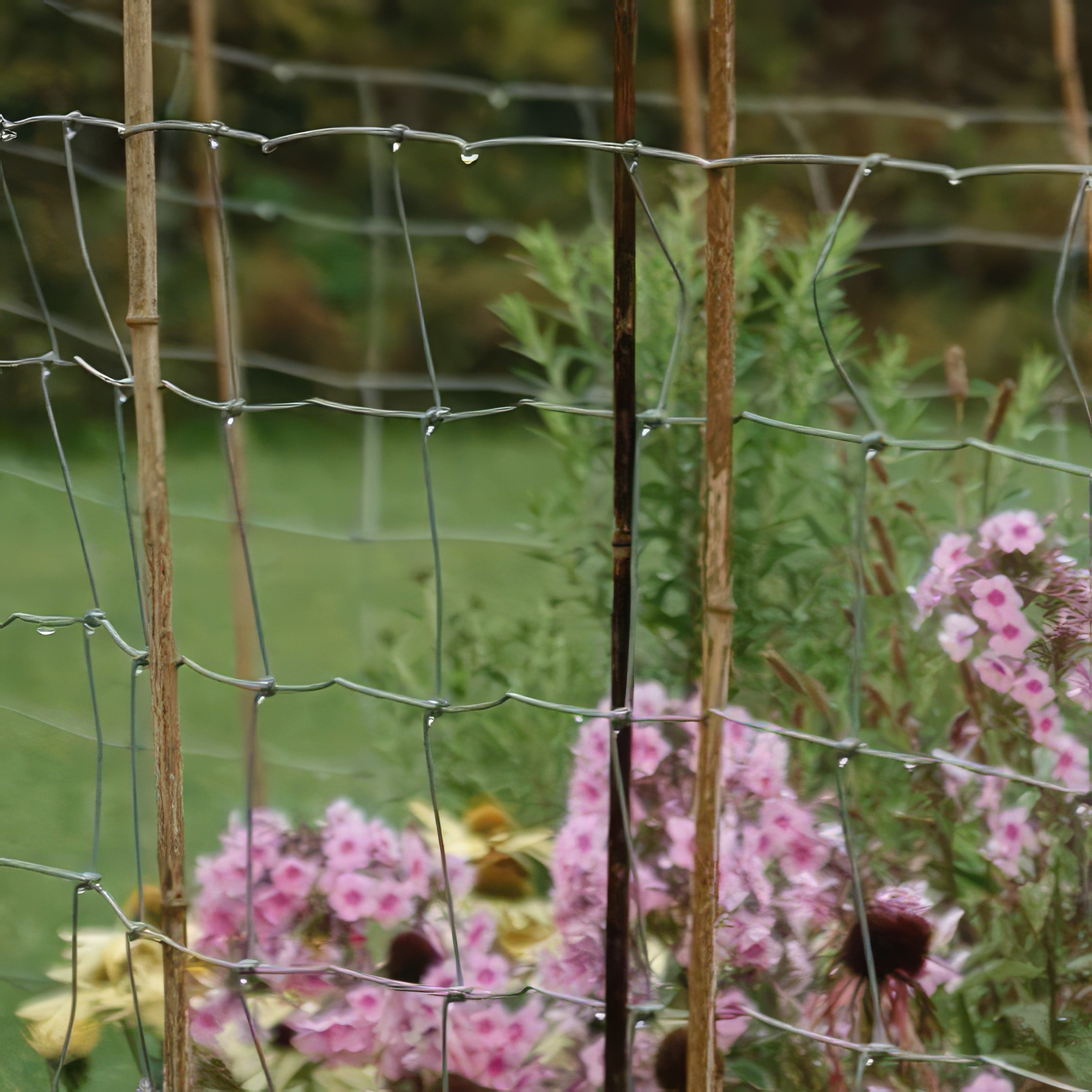 Perennrabatt trådstaket