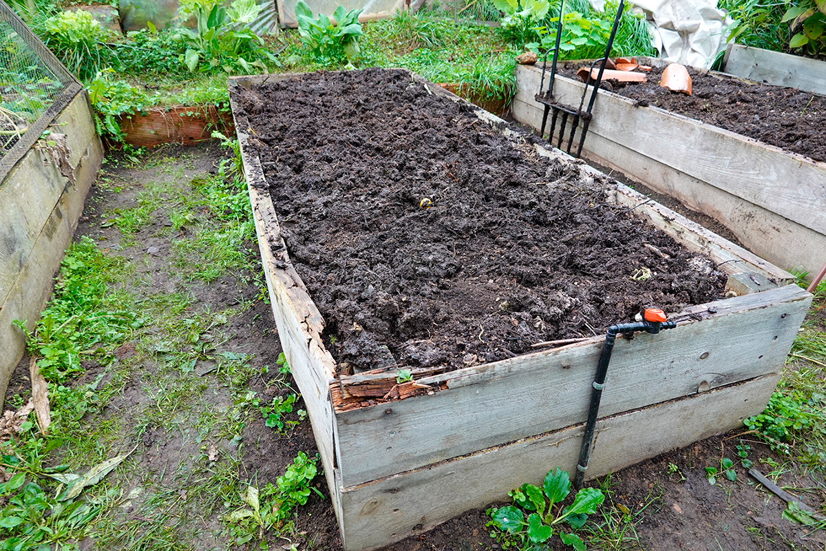 Millaista multaa kasvimaan kasveille