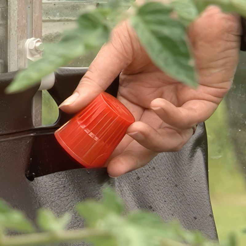 automatisk vanding drivhus