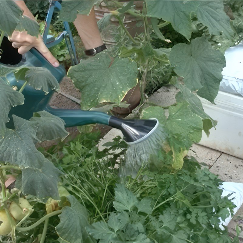 automatisk vinduesåbner drivhus