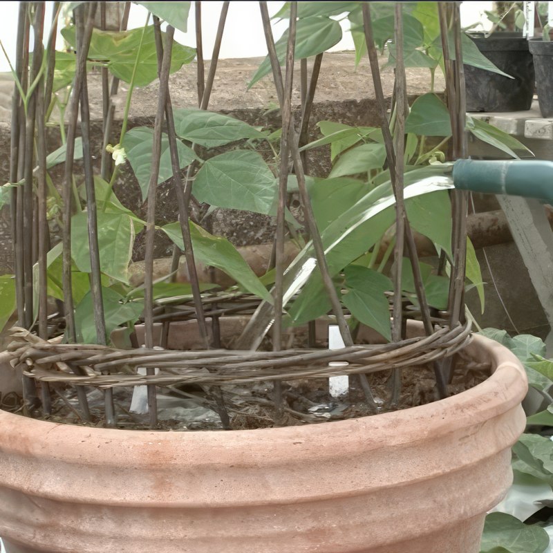 gødning til drivhus