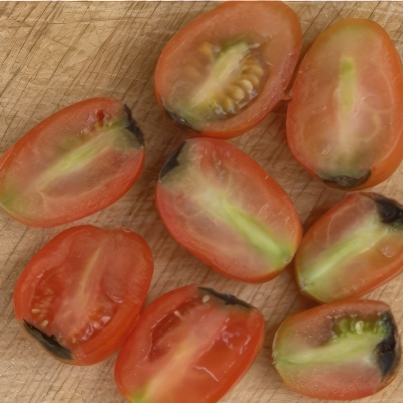 Griffelråte sykdom i tomater