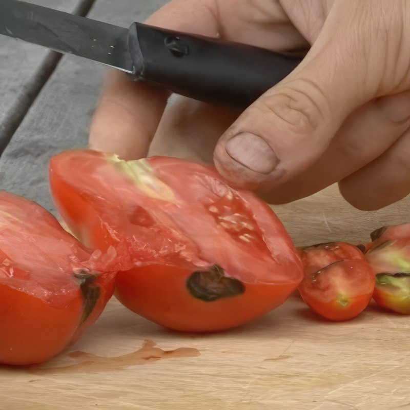 Griffelråte på tomater