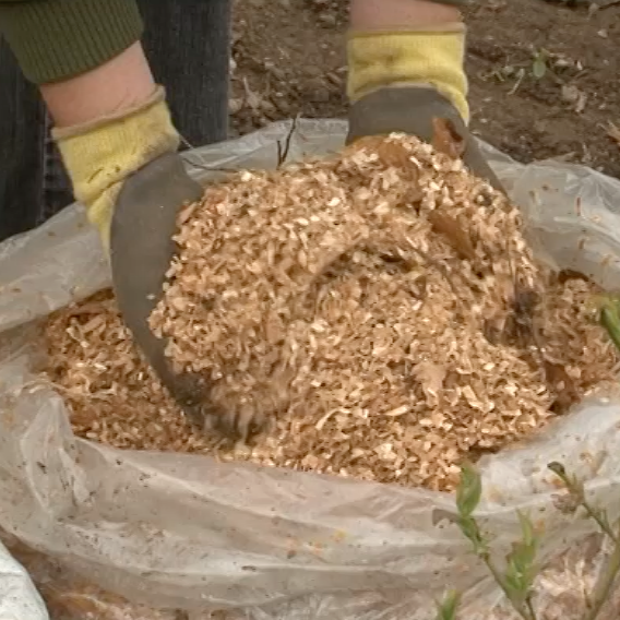 gödning för blåbär