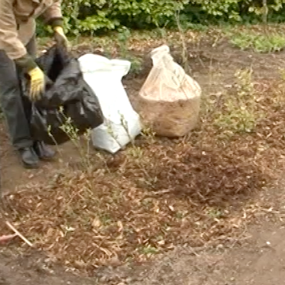 gödning för blåbär